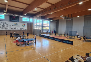 Szkolne Mistrzostwa w Tenisie Stołowym